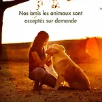 Le Safari A Theme Savane Au Coeur Du Tarn *