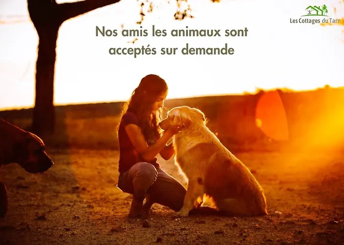 Le Safari à Thème Safari Au Cœur Du Tarn *